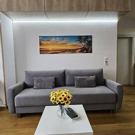 Porodicno-Poslovni Udoban Stan Apartment เบลเกรด ภายนอก รูปภาพ