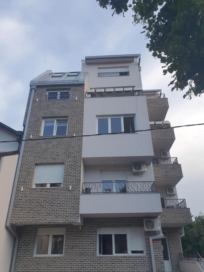 Porodicno-Poslovni Udoban Stan Apartment เบลเกรด ภายนอก รูปภาพ