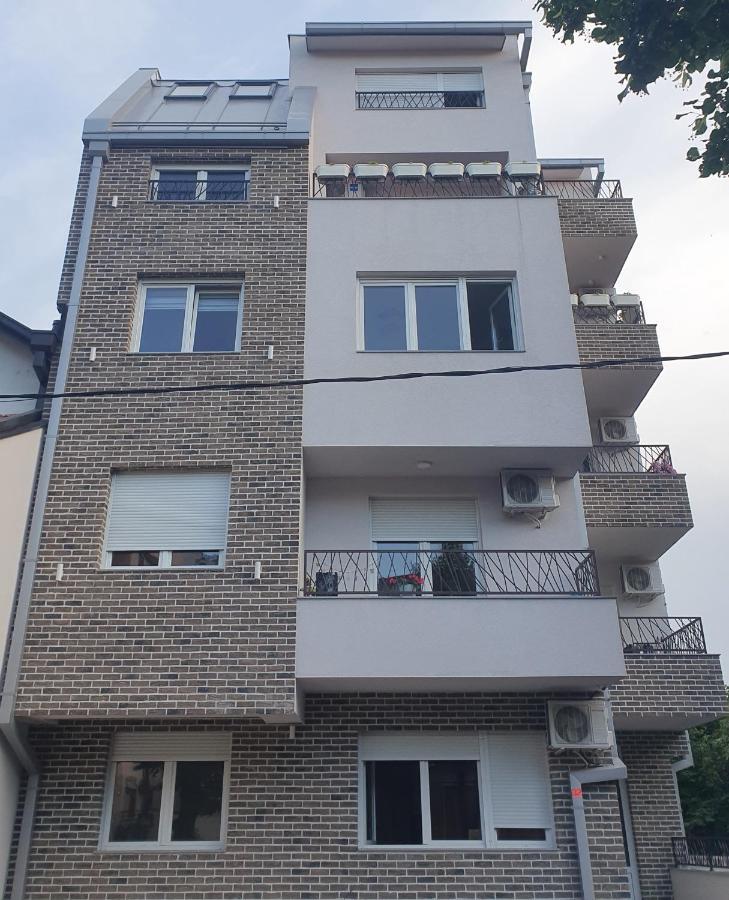 Porodicno-Poslovni Udoban Stan Apartment เบลเกรด ภายนอก รูปภาพ