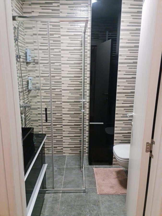 Porodicno-Poslovni Udoban Stan Apartment เบลเกรด ภายนอก รูปภาพ