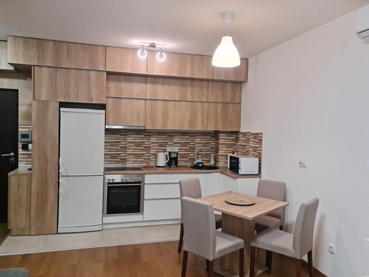 Porodicno-Poslovni Udoban Stan Apartment เบลเกรด ภายนอก รูปภาพ