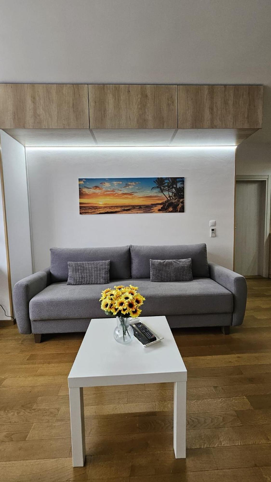 Porodicno-Poslovni Udoban Stan Apartment เบลเกรด ภายนอก รูปภาพ