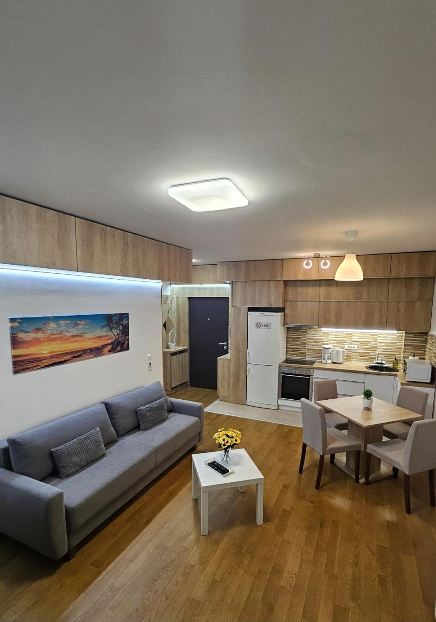 Porodicno-Poslovni Udoban Stan Apartment เบลเกรด ภายนอก รูปภาพ