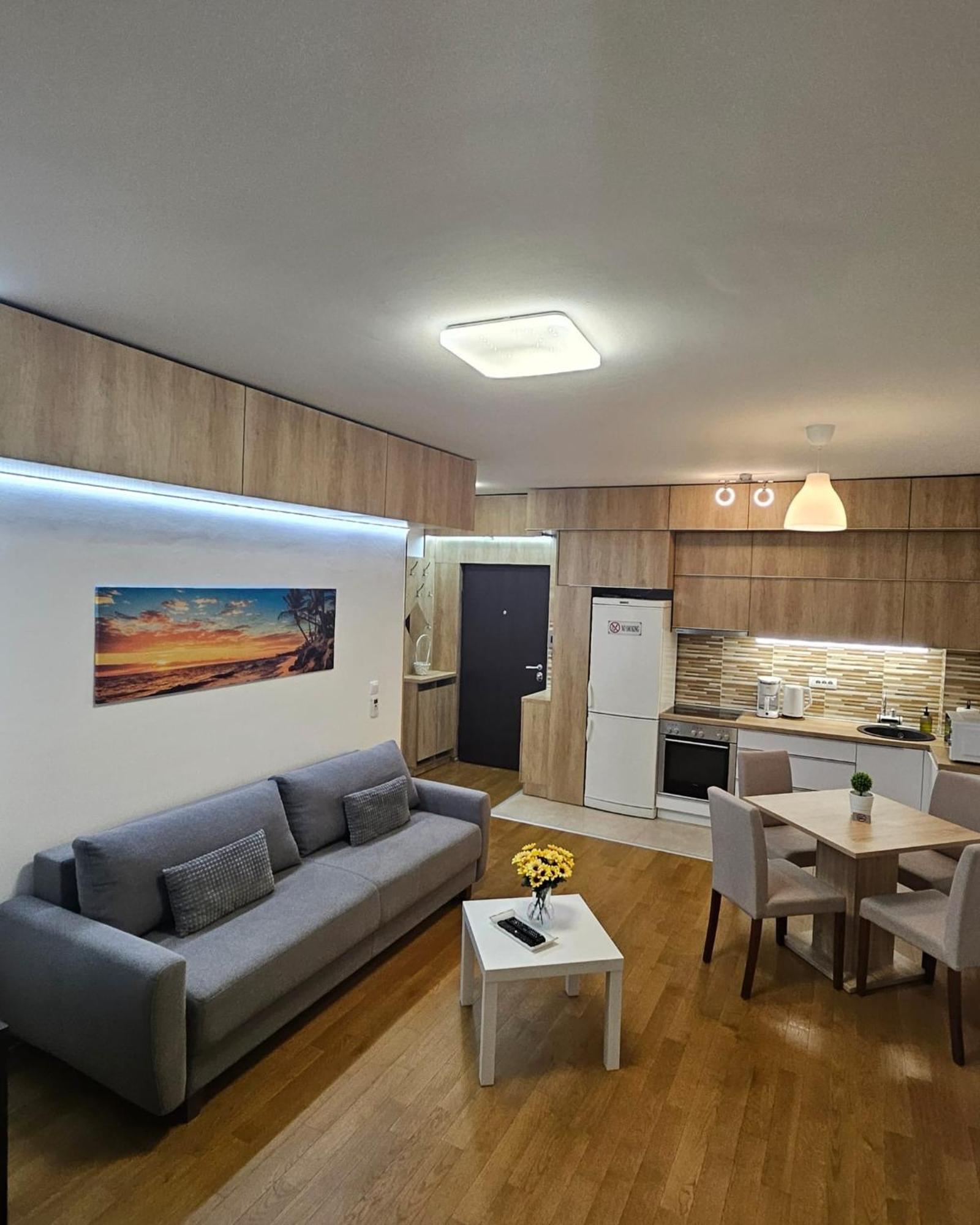 Porodicno-Poslovni Udoban Stan Apartment เบลเกรด ภายนอก รูปภาพ